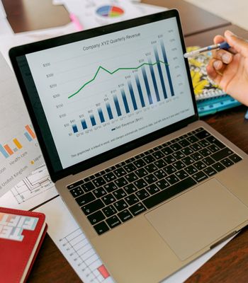 Business analytics and data visualization