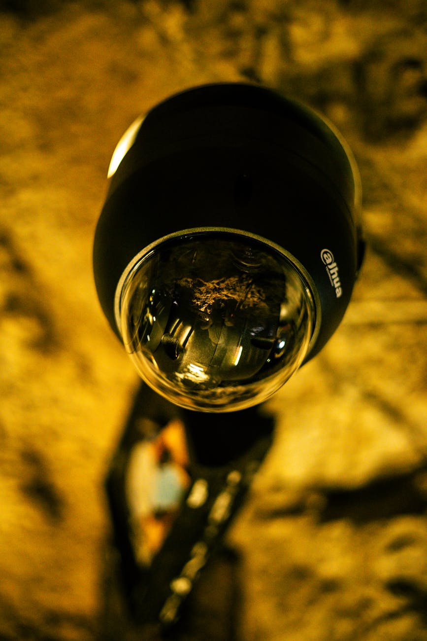 Security specialist monitoring network protection systems